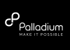 Job vacancy Financial Manager at Palladium - Utrecht
