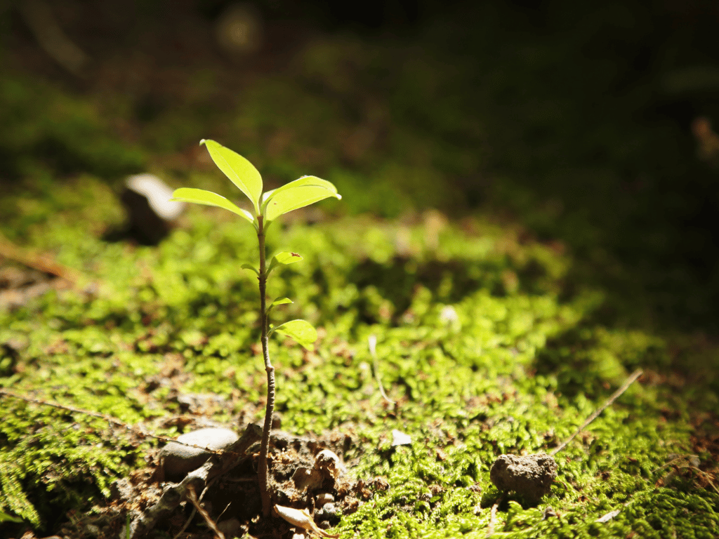 Duurzaam werven begint hier - het verhaal achter De Duurzame Vacaturebank